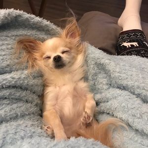 Meet your Posher, Anne